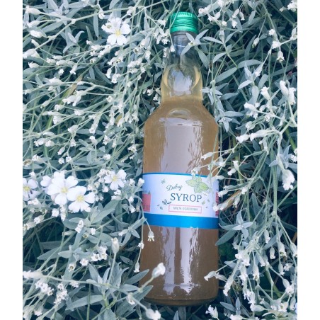 Syrop Mięta Ogrodowa (500 ml) - Maria Wiśniewska-Staszak