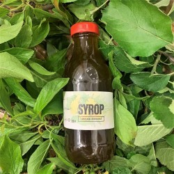 Syrop z mniszka lekarskiego (200 ml) - Maria Wiśniewska-Staszak