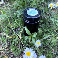 Sok z aronii (245 ml) - Cztery Strony Ciszy - ogród naturalny Monika Siedlecka