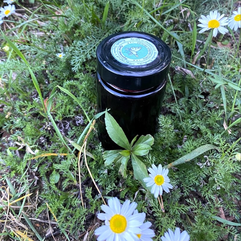 Sok z aronii (245 ml) - Cztery Strony Ciszy - ogród naturalny Monika Siedlecka