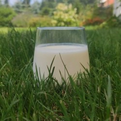 Kefir (1 l) - Serowarnia Jasiurkowscy