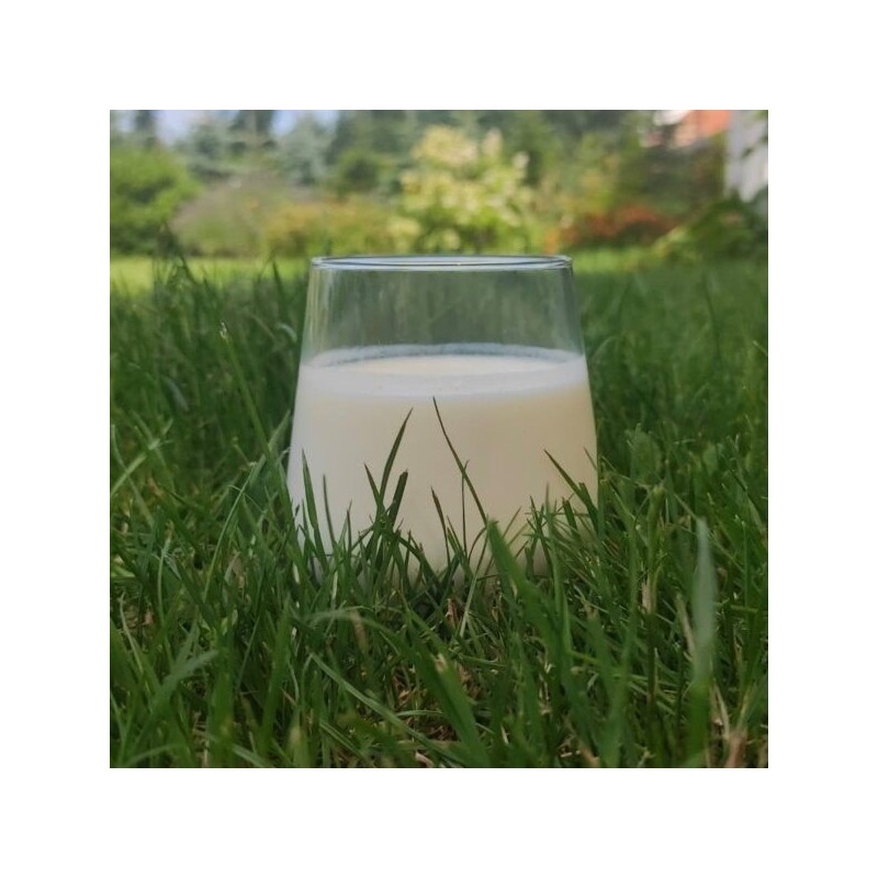 Kefir (1 l) - Serowarnia Jasiurkowscy