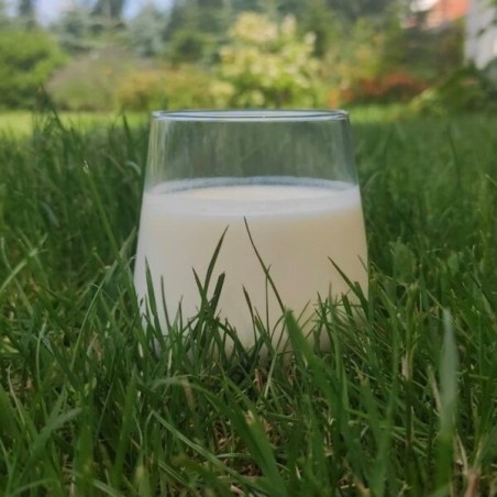 Kefir (1 l) - Serowarnia Jasiurkowscy