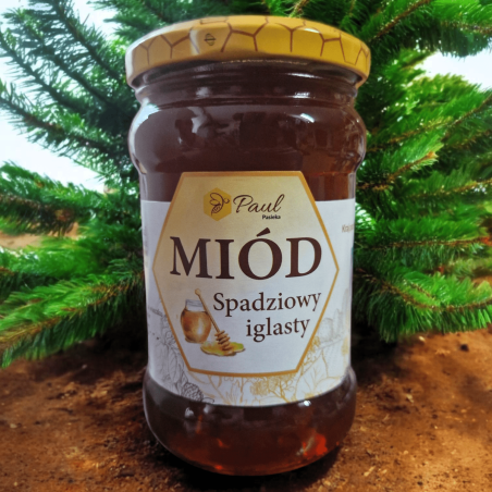 Miód spadziowy iglasty (400 g) - Pasieka Jacek i Tomasz Paul