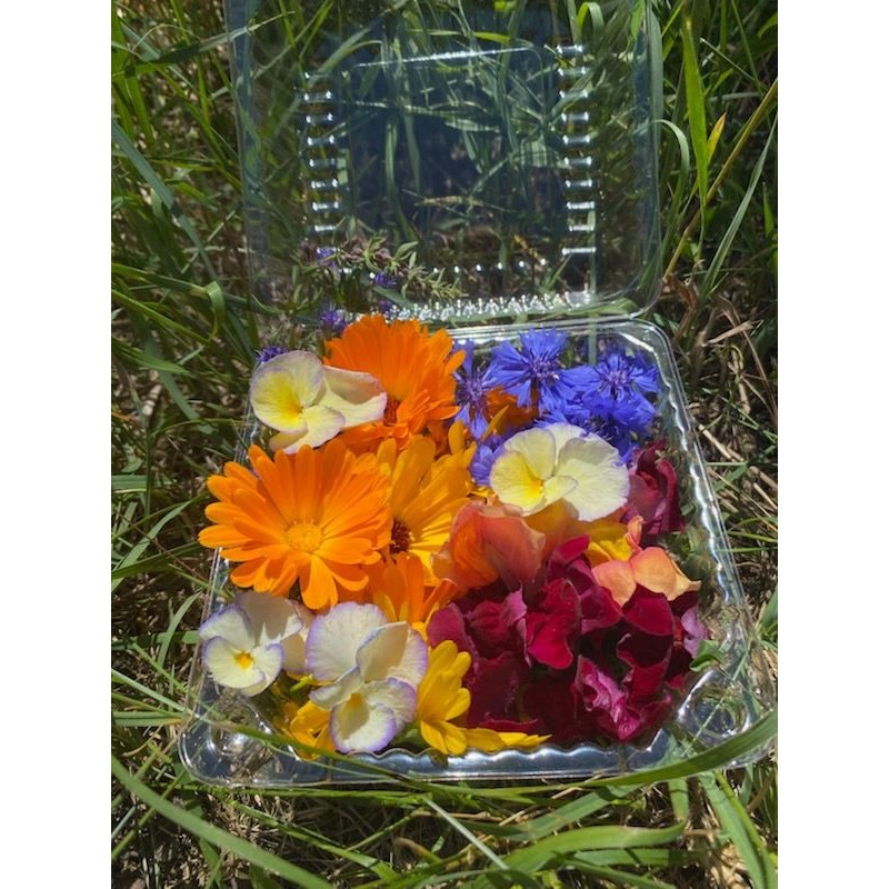 Mix kwiatów jadalnych (ok. 20 g) - Cztery Strony Ciszy - ogród naturalny Monika Siedlecka Mix kwiatów jadalnych (ok. 20 g) - Cztery Strony Ciszy - ogród naturalny Monika Siedlecka