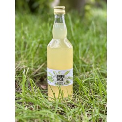 Ocet z kwiatów czarnego bzu (500 ml) - Maria Wiśniewska-Staszak
