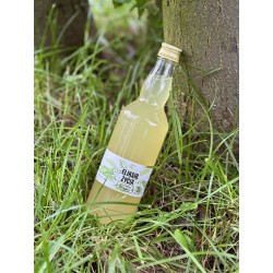 Ocet z kwiatów czarnego bzu (500 ml) - Maria Wiśniewska-Staszak