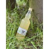 Ocet z kwiatów czarnego bzu (500 ml) - Maria Wiśniewska-Staszak
